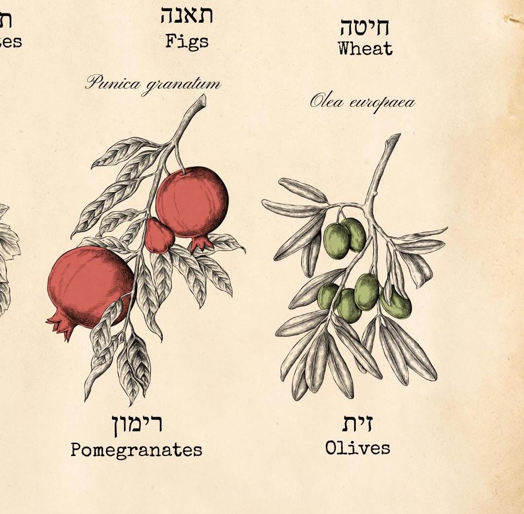 Seven Species Art Print, Shivat HaMinim, Bible fruits art