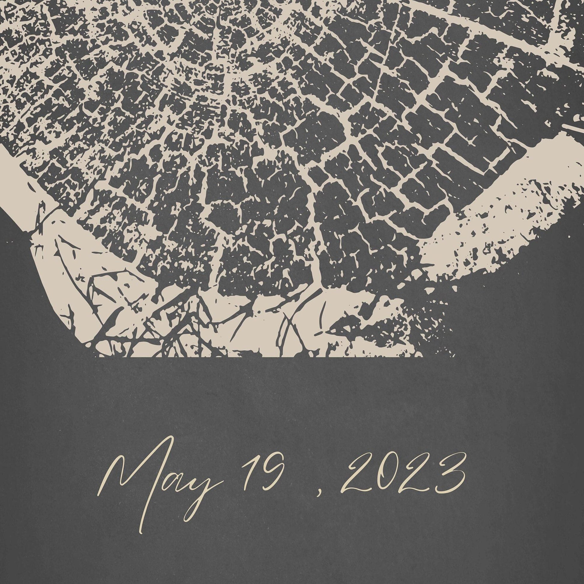 Three panel tree rings ketubah